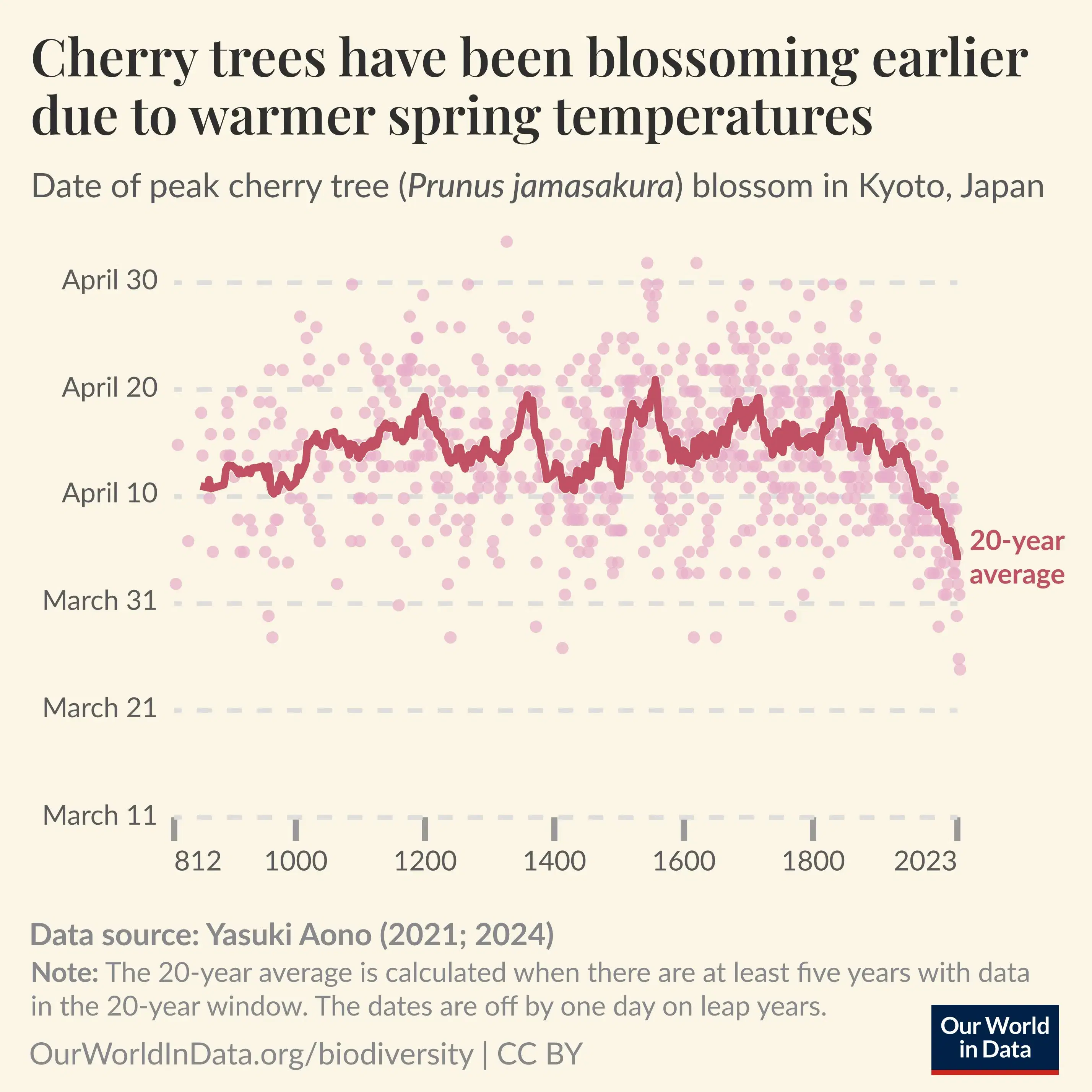 Cherry Trees Have Been Blossoming Earlier Due to Warmer Spring Temperatures