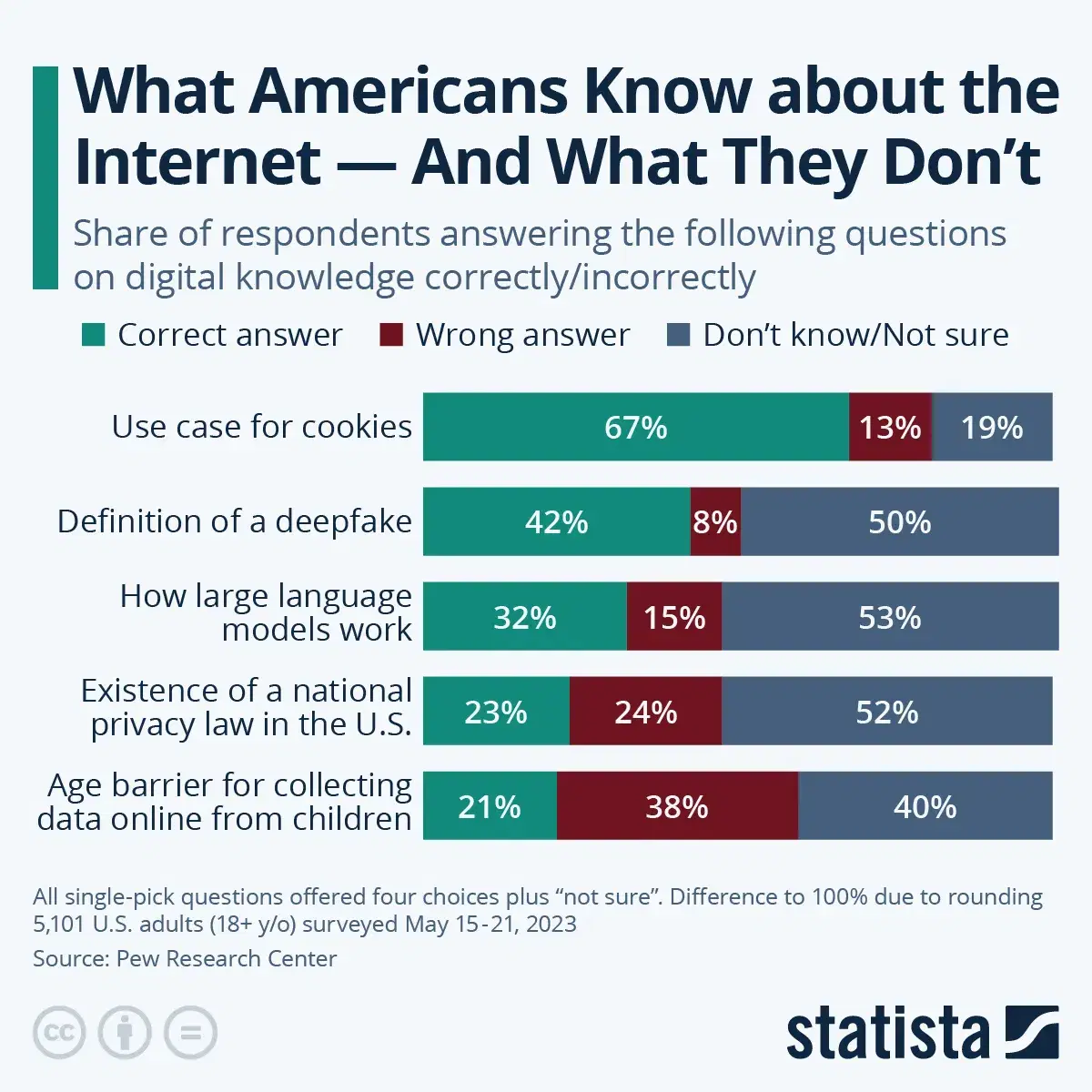 How Well Do Americans Know the Internet?