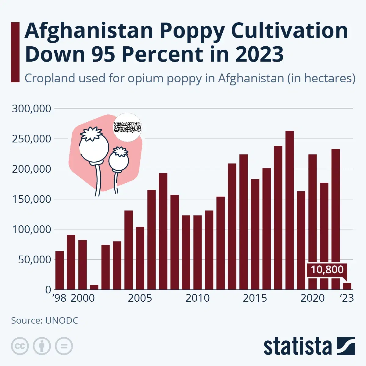 Poppy Production Plummets in Afghanistan