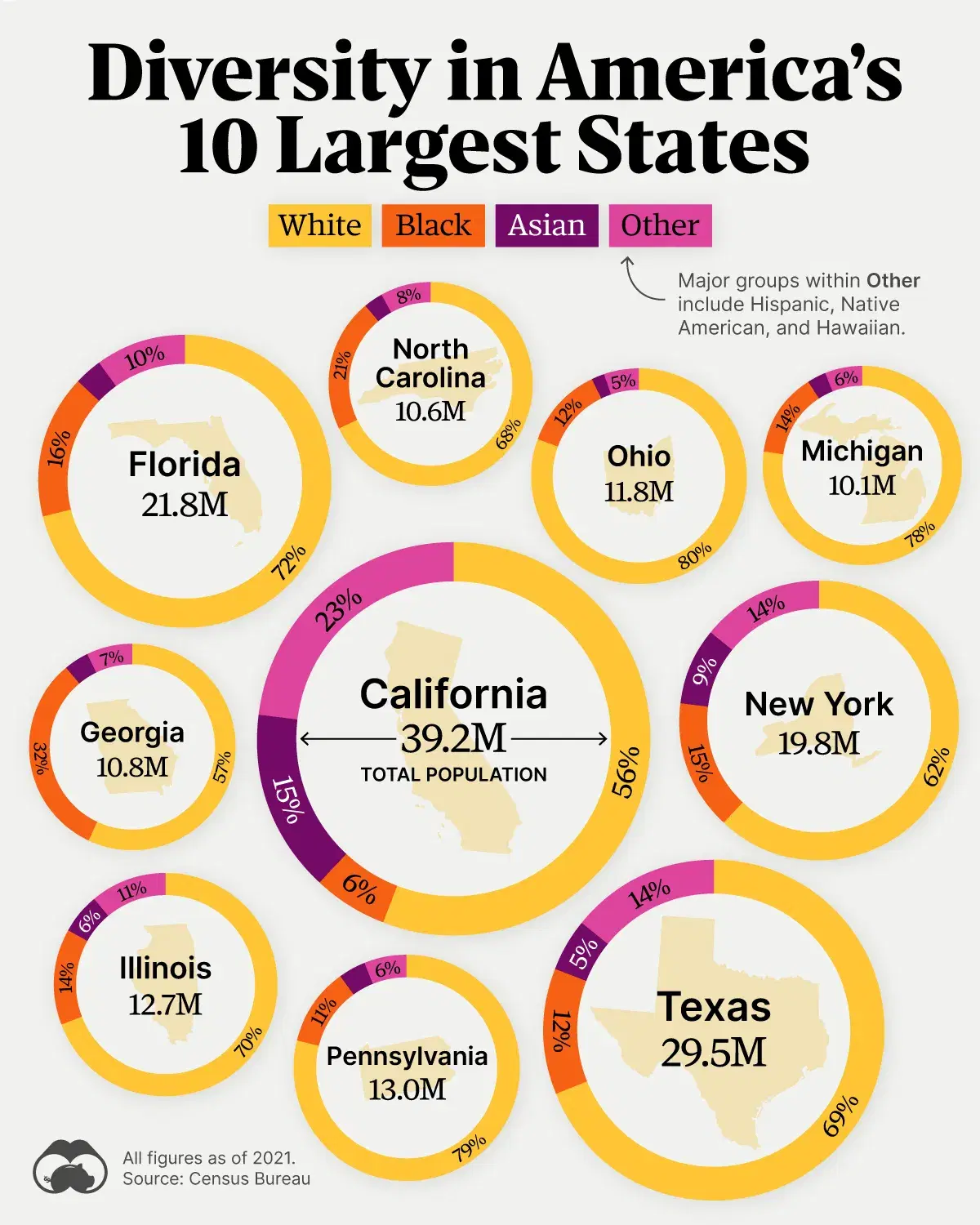 Racial Diversity in America's 10 Largest States
