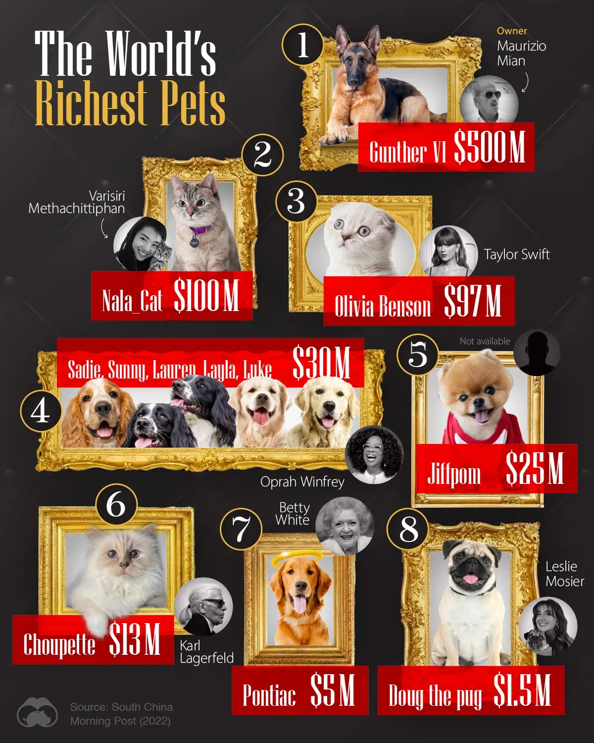 These Pets are Richer Than Most People 🐶