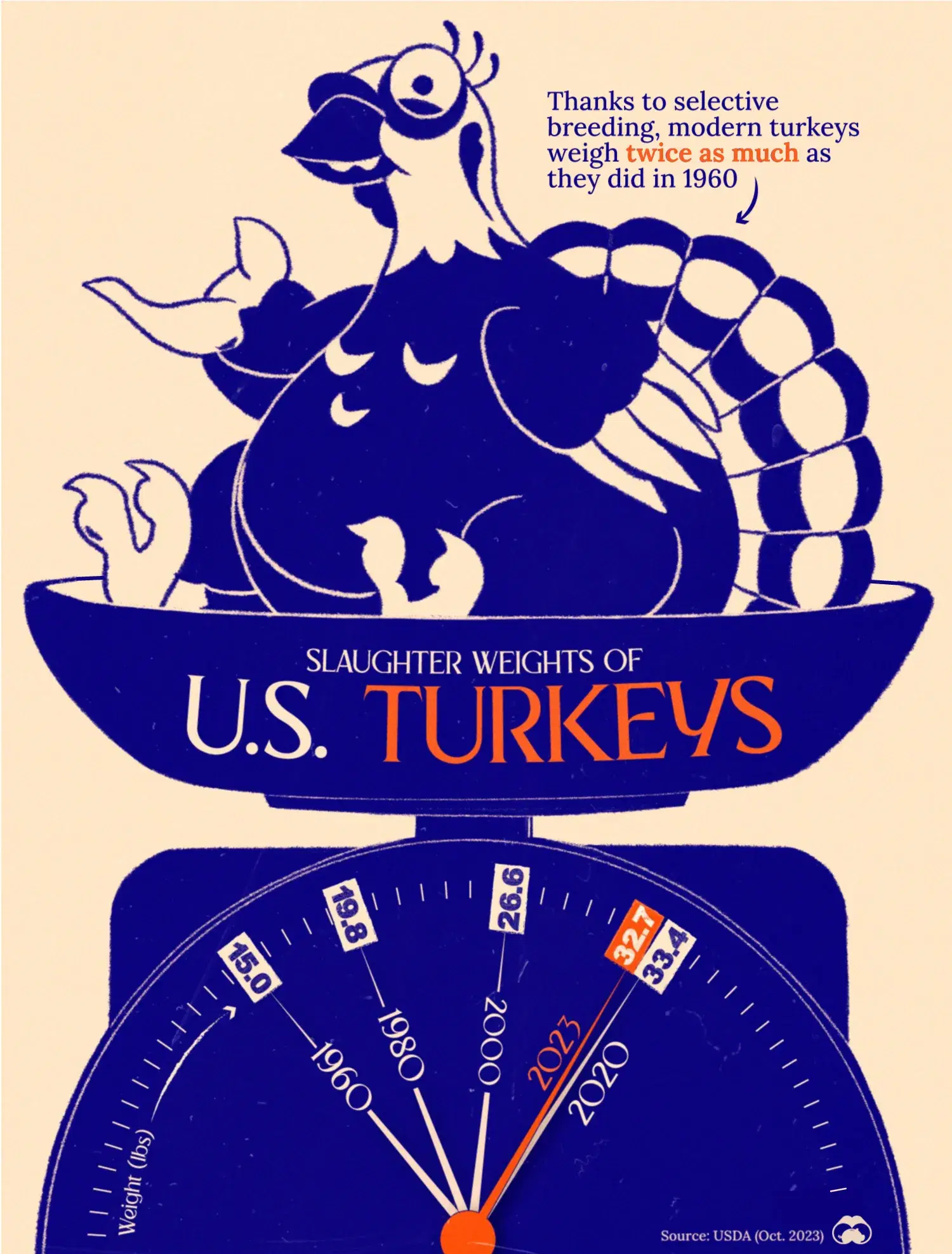 Turkeys Have Doubled in Weight Since 1960 🍗
