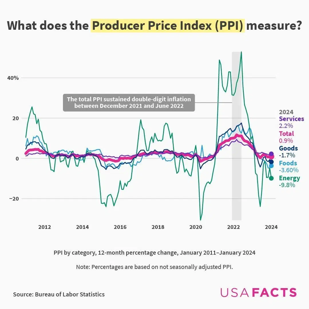 What Does the Producer Price Index (PPI) Measure?