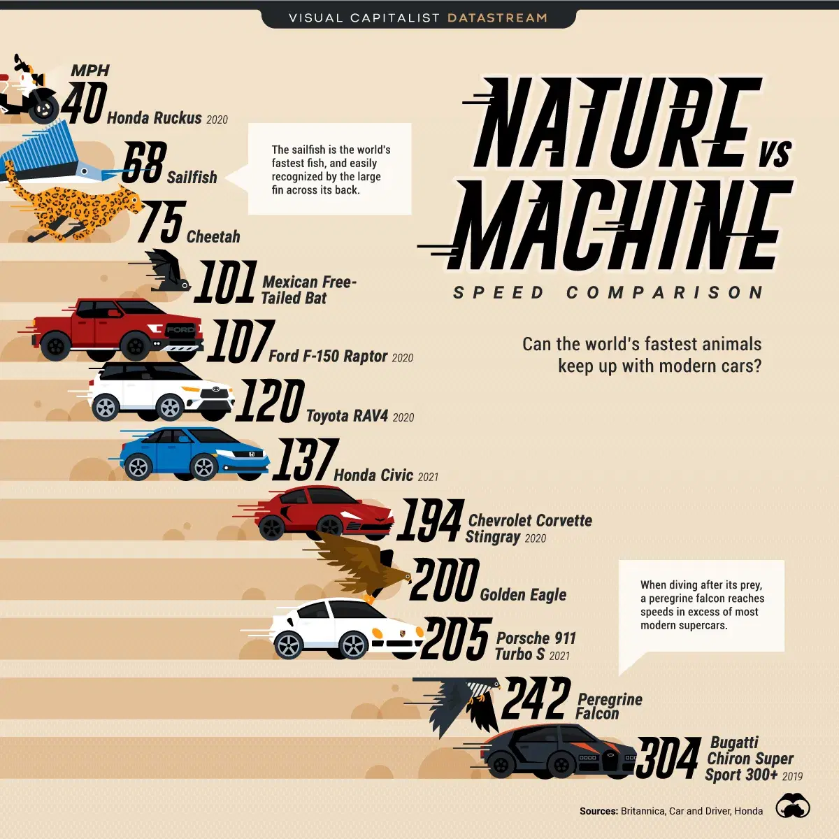What’s Faster, Nature or Machine?