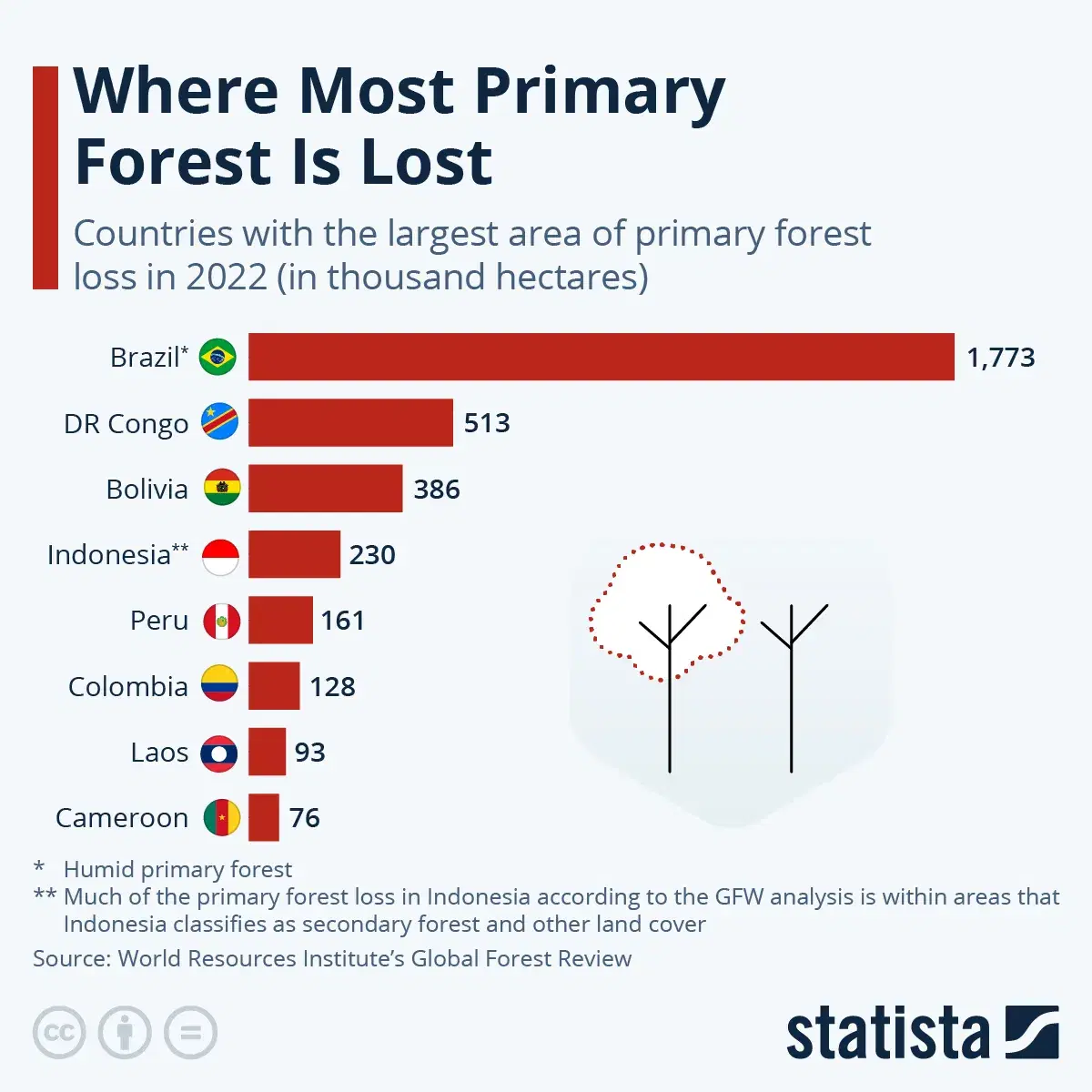 Where the Most Primary Forest has Been Lost