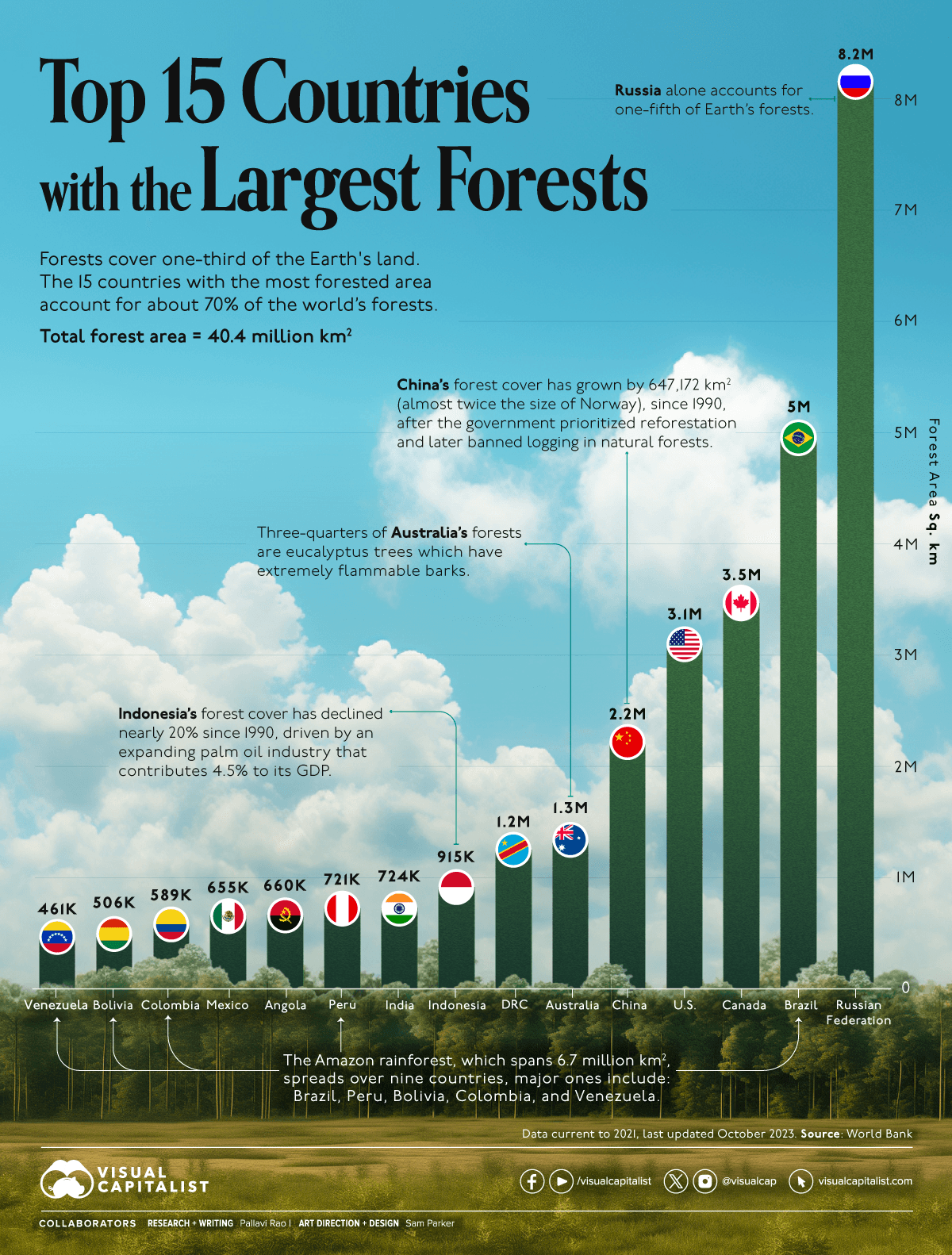 Which Countries Have the Largest Forests? 🌲