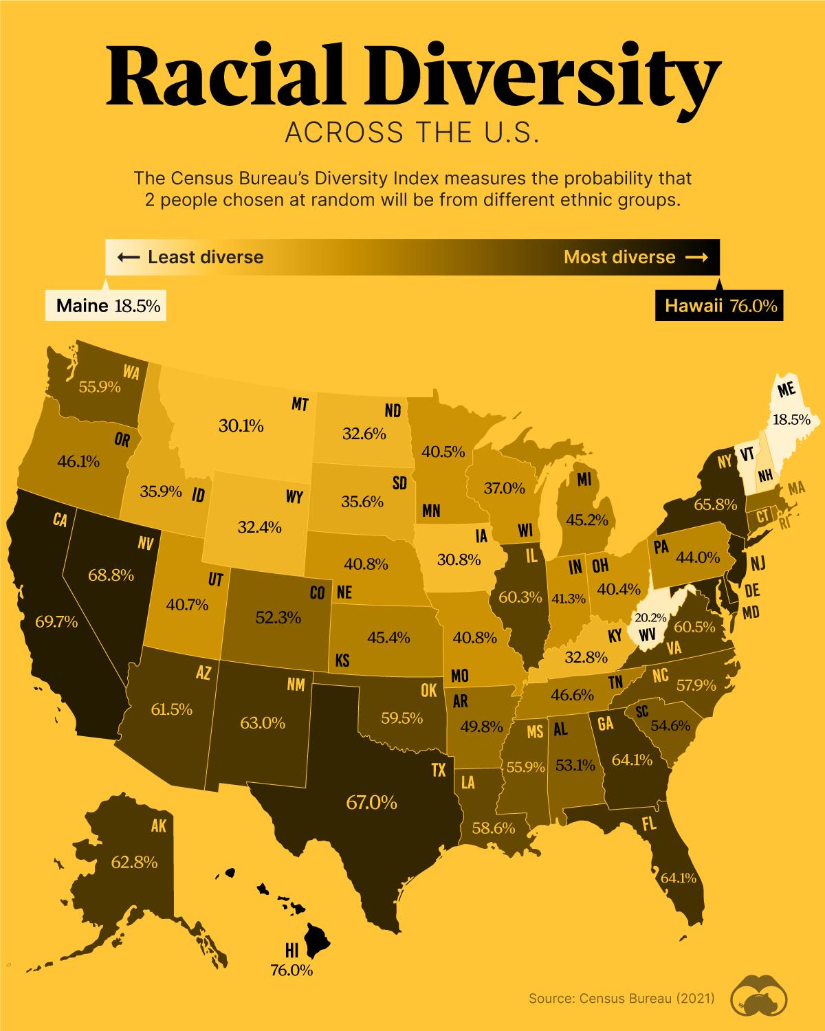Mapping Racial Diversity by State