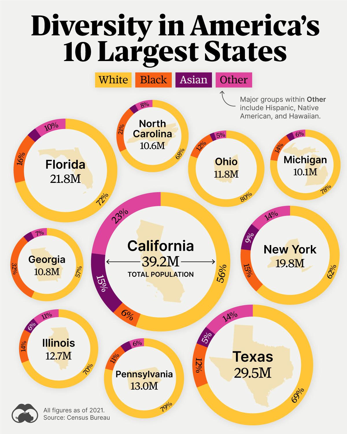 Racial Diversity in America's 10 Largest States